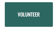 volunteer button city green